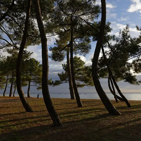 700m De La Mer, Ideal 2 Adultes 2 Enfants Alpstuga Andernos-les-Bains
